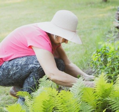 Elderly Person Gardening